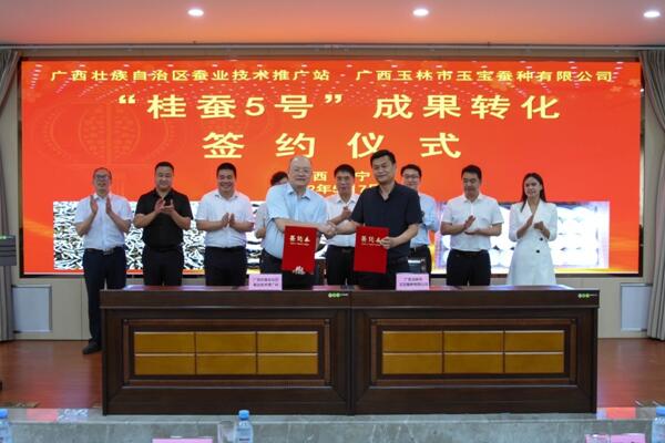 自治區農業農村廳領導出席廣西蠶業技術推廣站科企合作簽約儀式
